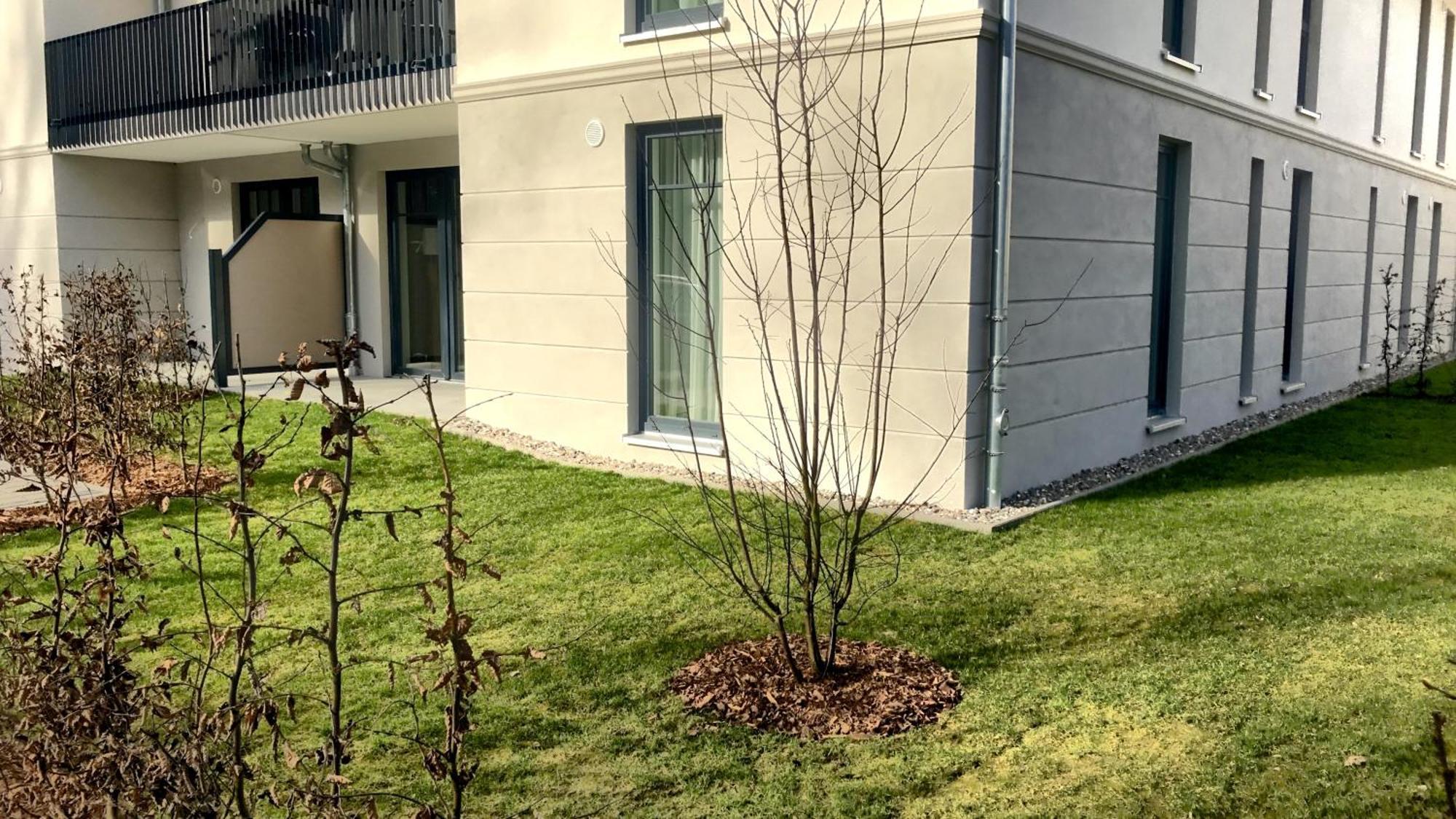Villa Camenia Ostseebad Kühlungsborn Δωμάτιο φωτογραφία